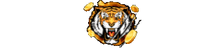 tigerkoin logo animated